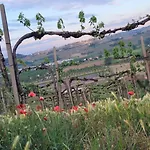 Bella Piemonte 니차몬페라토