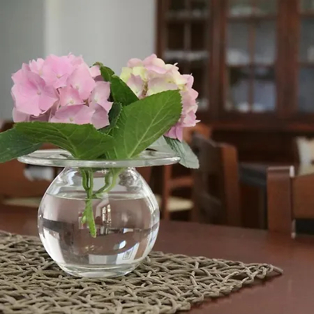 Bella Piemonte Bed & Breakfast
