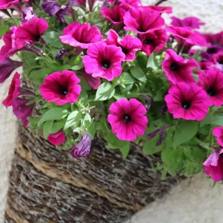 Bella Piemonte Отель типа 