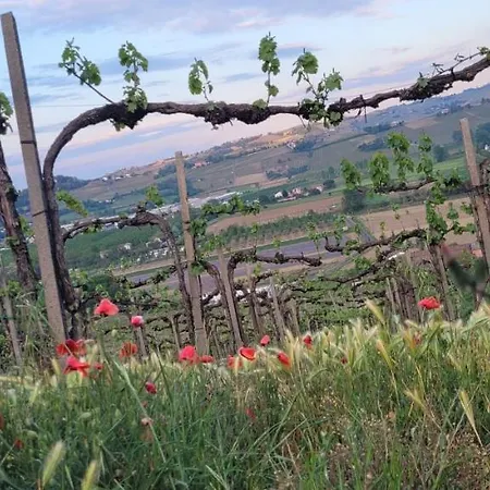 Bella Piemonte 니차몬페라토
